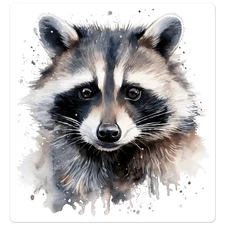 Raccoon - Vinyl Decal Sticker - Car Window Laptop - ebn9732
