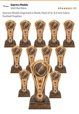 Express Medals Football Trophy Bronze Plastic 6.5'' CA194 Engravable Award 12 Pk