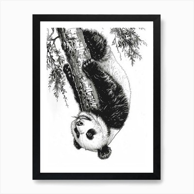 Riesen Panda Jungtier umgedreht hängend gerahmtes Wandbild Poster Leinwanddruck Bild