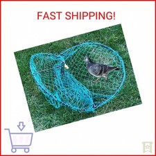 Alemon 12  Bird, Pigeon, Quail Humane Live Trap Hunting Bird Trap, with Trap Ins