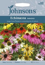 Echinacea Seeds 'Paradiso Mixed' by Johnsons Free UK Delivery Flowers Purpurea