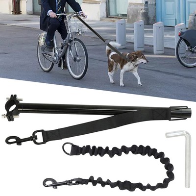pets on leash