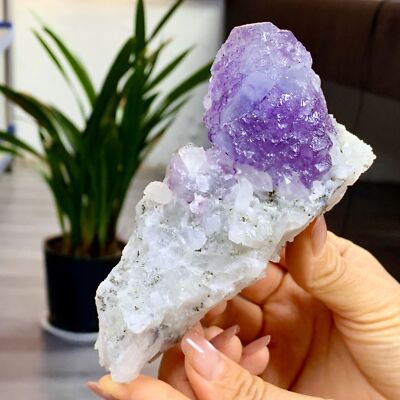 407G Natural purple  cubic fluorite+white crystal Cluster Specimen