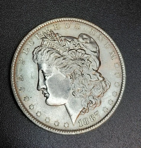 1887 Morgan Silver Dollar $1 Coin 0.9 Fineness Philadelphia Circulated Business