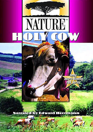 その他 Nature: Holy Cow [DVD] Nature - Holy Cow (DVD, 2005) for sale online | eBay