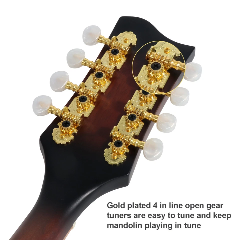 Instrumento Mandolina Acústica Estilo A 8 Cuerdas con Parte Superior de Abeto Arqueado F Agujero Cuerpo Foto 4 de 4