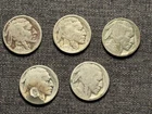 5 Cull Buffalo Nickels