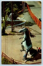 1971 Wisconsin Dells WI Postcard Trachodon Enchanted Forest Living Cretaceous