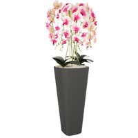 Blumentopf BlumenüBertopf BlumenküBel Mit Einsatz Anthrazit Runde Ø39 Cm H 81 Cm