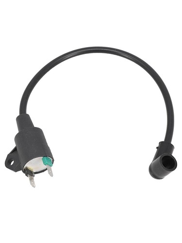 #145F 650 ET950 Generator for IGNITION Coil High Voltage Pack Spare - Picture 12 of 14