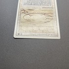 Picture 4 of 12