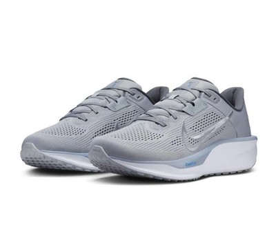 NIKE QUEST 6 SMOKE GREY/IRON GREY RUNNING SHOE SNEAKERS NIB MEN FD6033 004