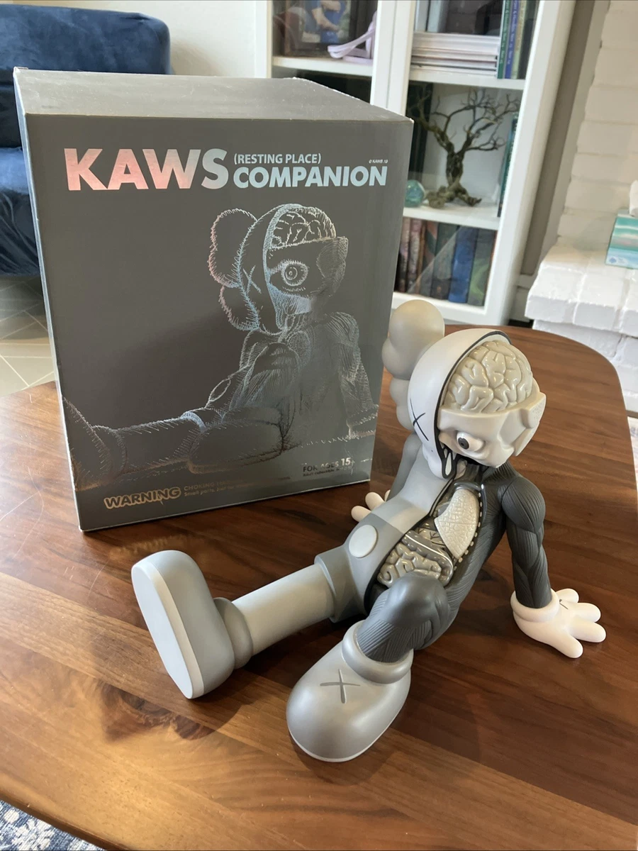 kaws companion resting place Dissected original Fake