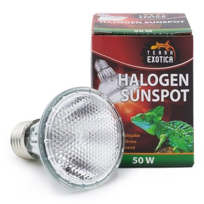 Terra Exotica Halogen Sunspot 50 Watt - Halogen Spotstrahler , E27