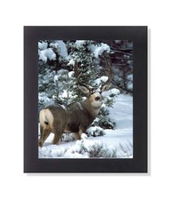 Large Buck Deer Antler Rack in Snow 2 Wall Picture Framed Art Print