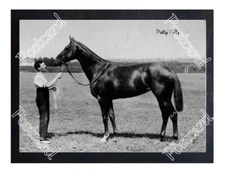 Historic Pretty Polly Horseracing Postcard