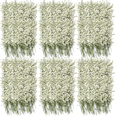 50 Pcs Mini Dried Babys Breath Flowers Pressed Babys Breath Ivory White Dried Fl