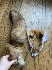 Red Fox Tail and Head. genuine Fox fur.  16,5” long. fluffy. Black End Tip