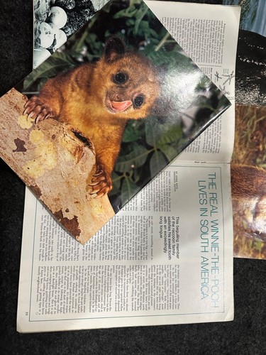 VTg Magazine & Paper Lot - Wildlife 1970s Science Search - Picture 8 of 10