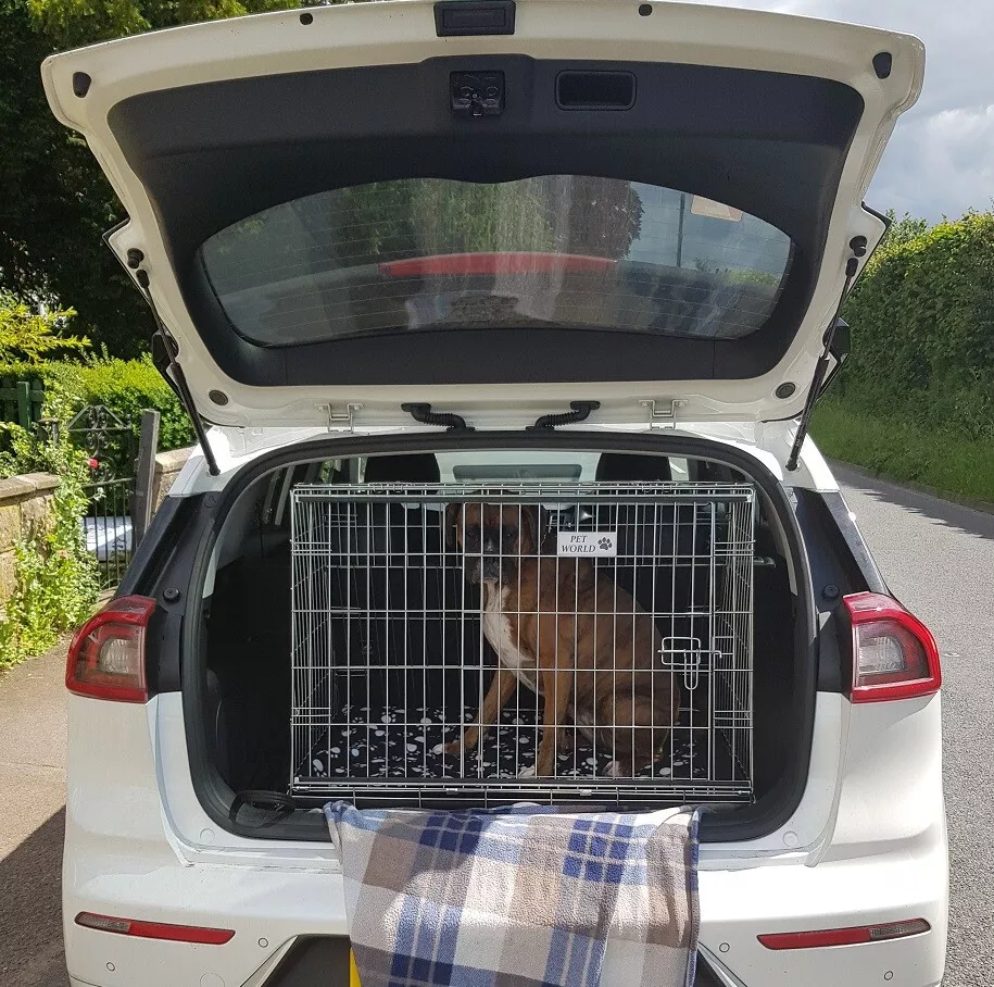 Pet world 2025 dog cage