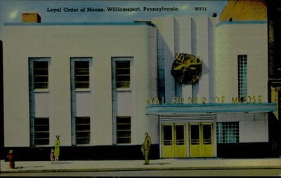 Postcard: Loyal Order of Moose, Williamsport, Pennsylvania WP11 ORDER