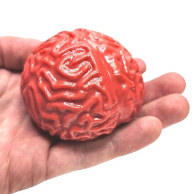 Brain Splat Ball (2.75 inch) Unique Design Gel Party Favor and Game Prize