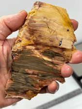 Gary Green Caldera Freedom Jasper end cut Slab Cabbing Lapidary Combo Ship Avail