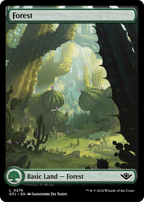 Forest (FOIL) x1 - MTG Outlaws of Thunder Junction OTJ #276