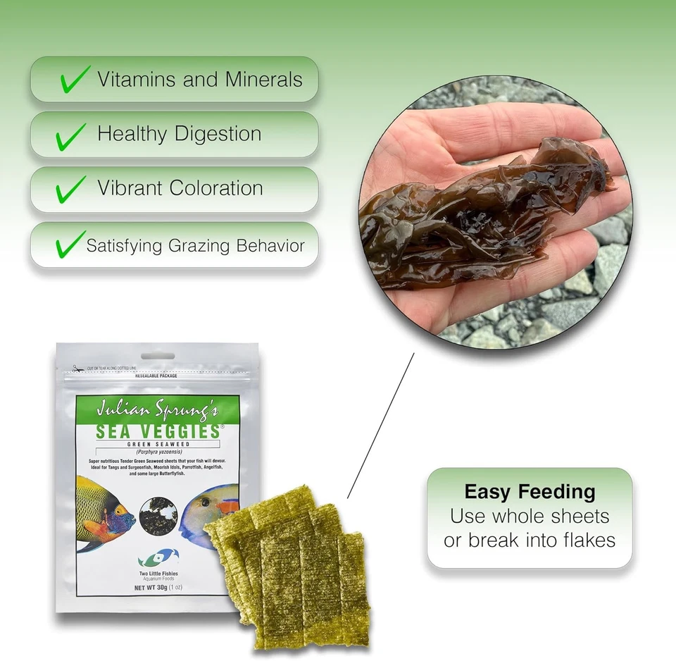 Two Little Fishies Atlsvgs4 Sea Veg-Green Seaweed, 1 Onza (Pack de 1), Verde  Foto 3 de 4