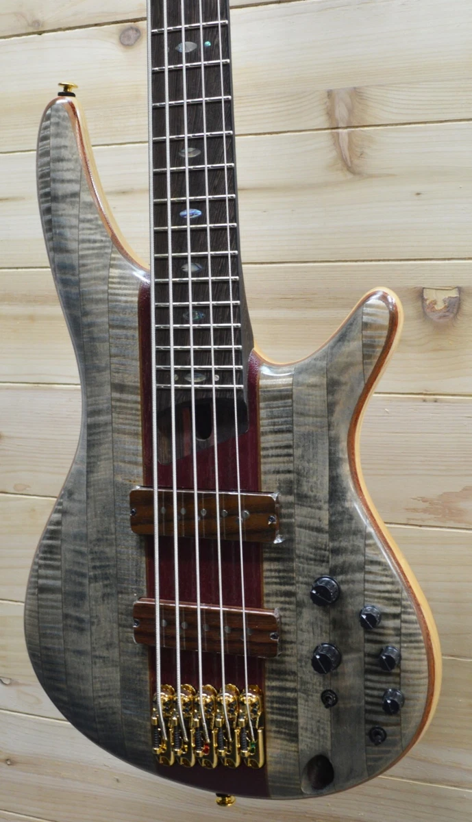 Ibanez sr 1405 deals
