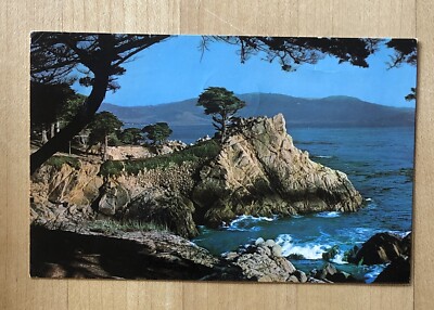 Postcard - Carmel Bay Monterey Cypress Tree California