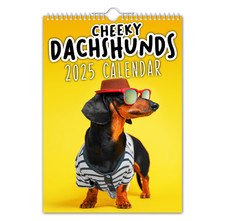 2025 Calendar - Cheeky Dachshunds – Animal / Pet / Dogs / Pooches