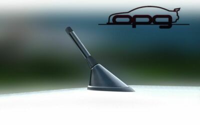 Antenna / Aerial Only Stubby Bee Sting for Ford Everest 2015 > 2026 Black Carbon 3.5cm - Antenna Base NOT included - OPG