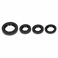 ScooterLibre Simmerringset (FüR: Rex Capriolo 50 LAEABZ400 - 4 Takt 07-09 )
