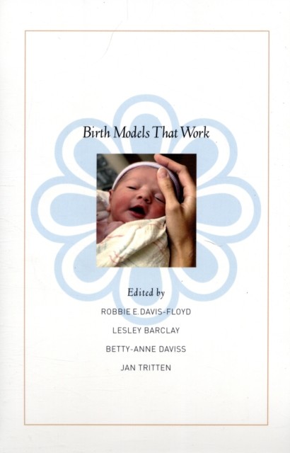 Birth Models That Work by Robbie E Davis–floyd PAPERBACK - Image 2