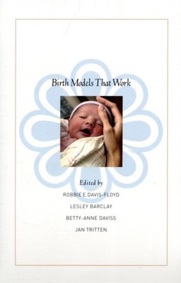 Birth Models That Work by Robbie E Davis floyd PAPERBACK 9780520258914