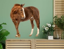 3D Fat Brown Horse 132NA Animal Wallpaper Mur...