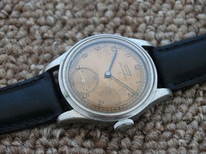 anti magnetic watch case