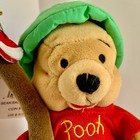 Winnie the Pooh - Mini Bean Bag Pooh 8" w/ Fishing Pole  - from the Disney Store — photo 5