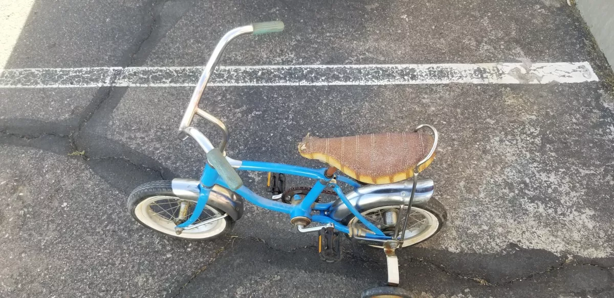 Tiger 2024 cycles vintage