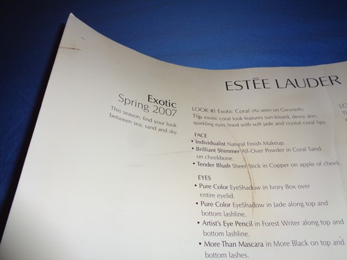 Gwyneth Paltrow Display Poster Estee Lauder Spring 2007 Exotic - Picture 19 of 23