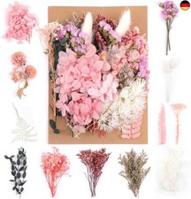 Nat&uuml;rliche Gemischte Getrocknete Blumen zum Basteln - Klein f&uuml;r DIY Epoxidharz S