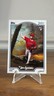 2025 Topps X Bob Ross the Joy of Baseball Caden Dana #93 Rookie RC