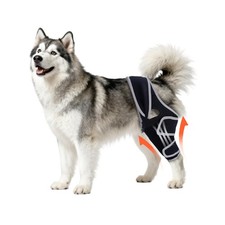 Dog Knee Brace for Torn ACL Hind Leg, Four-Leg Universal Rear Leg Braces for Dog