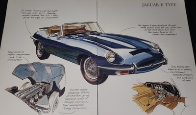 Jaguar E Type Car Picture Sheet Illustrated Out of Print Decor Wall Art Display 