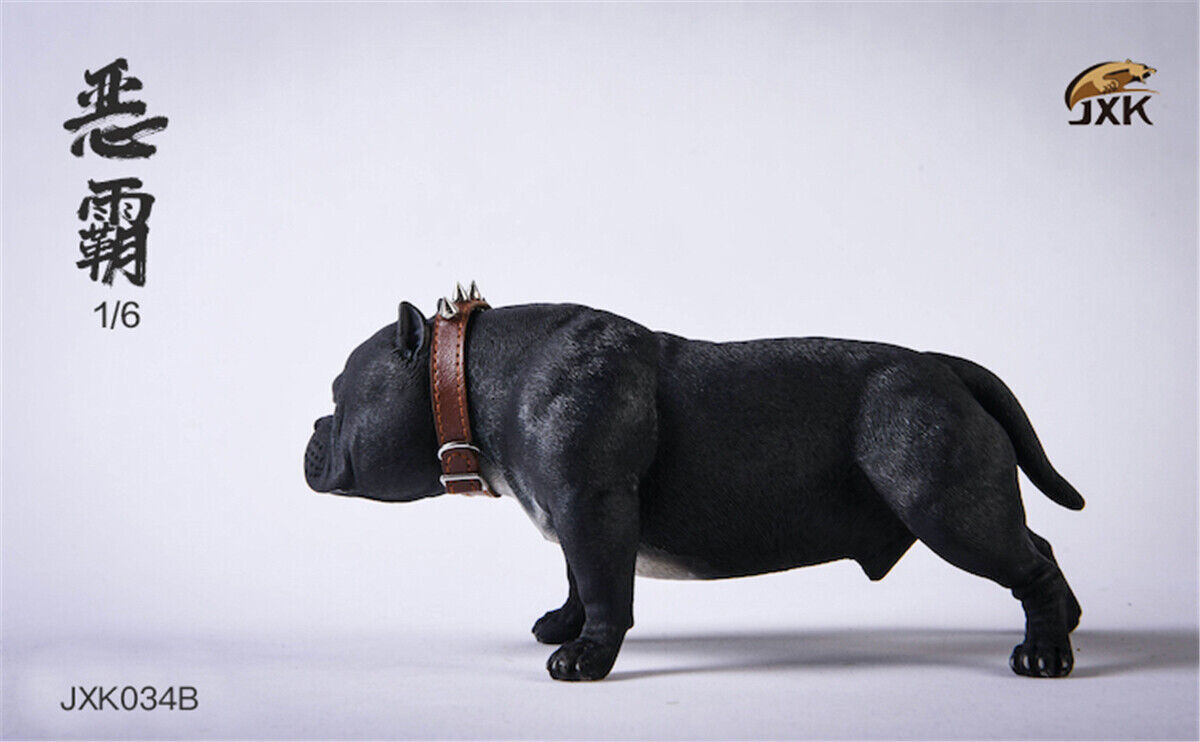 JXK 1/6 American Bully pitbull Dog Pet Figure Animal Model