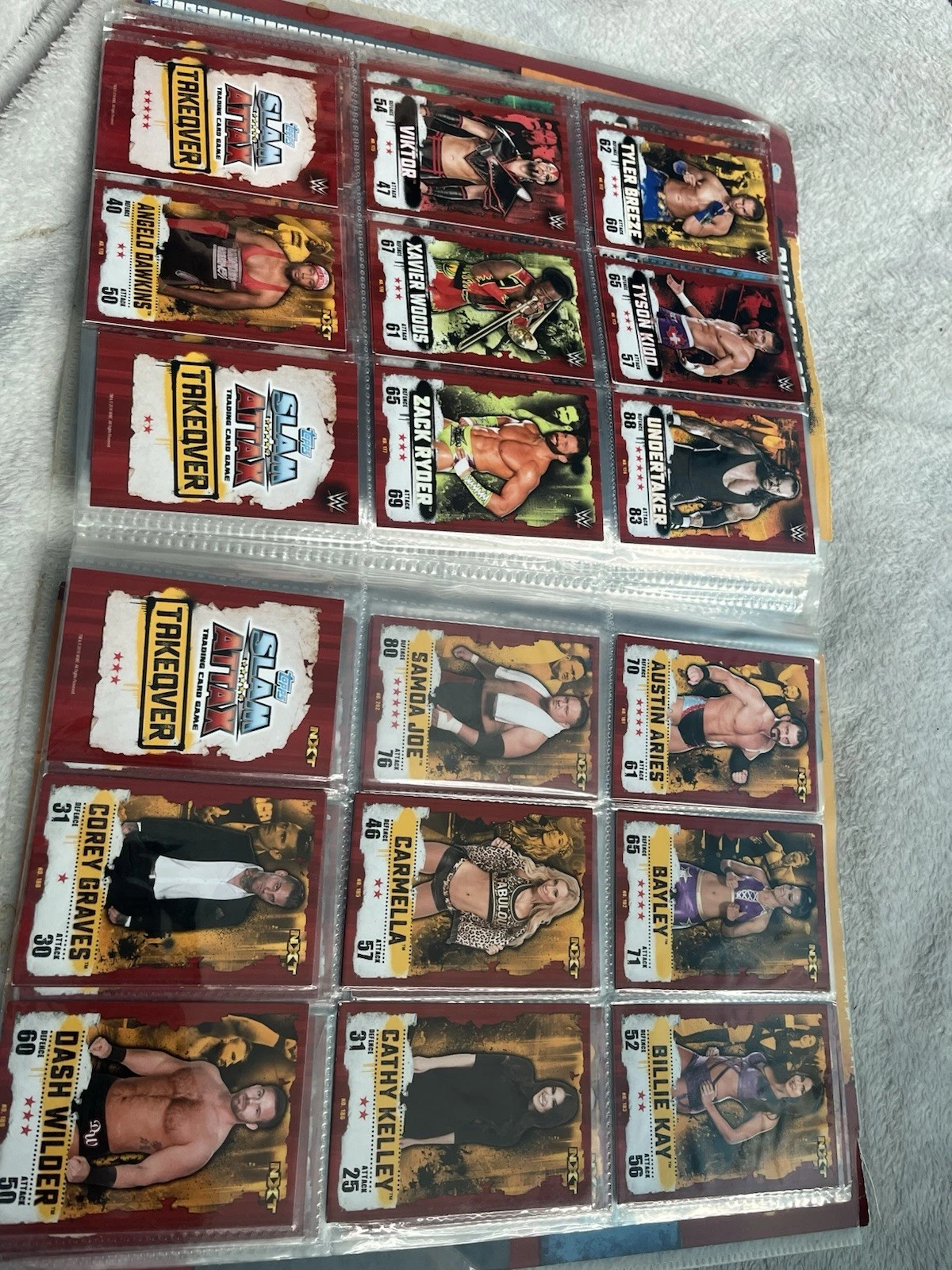 Picture 11 of 19