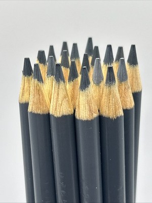 (20) Crayola Colored Pencils  (gray) BULK
