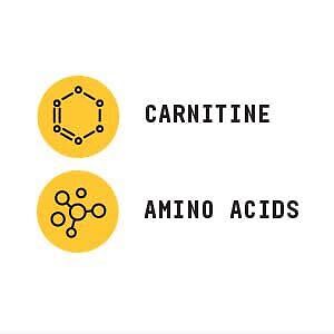 creatine l carnitine Creatine Vs Carnitine – Which Pre-workout Supplement To Choose? – AS-IT-IS  Nutrition