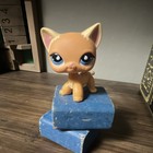 LPS Littlest Pet Shop Authentic Orange Shorthair Cat — photo 1
